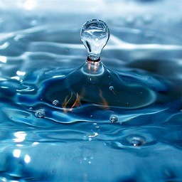 LiquidLanguage's profile picture. I'm Wet