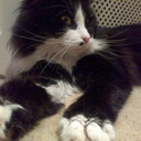 Larissa ford - @larissafordii - Twitter