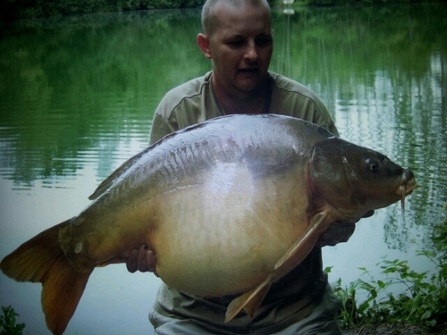 carp fishing , Manchester united