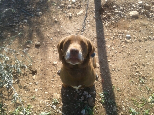 AndreasPhilippo's profile picture. #invest
#dividend
A normal guy with a normal 9-5 job, who tries to invest