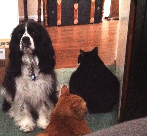 GloriD53's profile picture. 