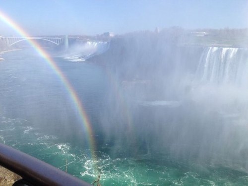 alturkistany's profile picture. 