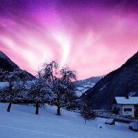 C Cordier (@apalachee) 's Twitter Profile