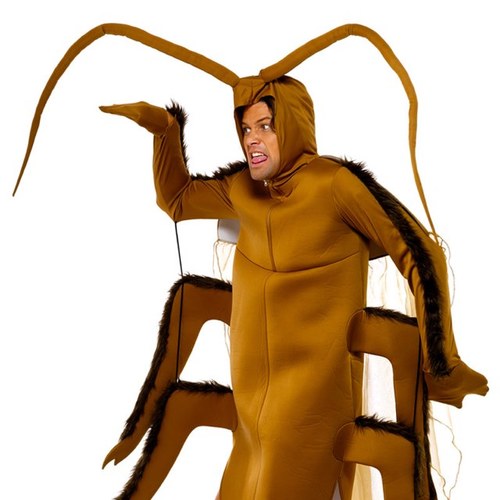 Roach Master (@Roach_Queen) / Posts / X