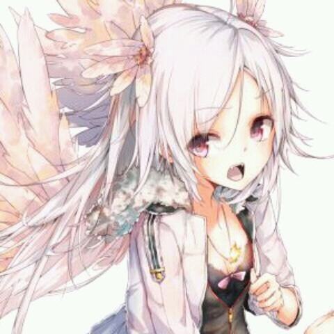 　ペルシャ　さんのプロフィール画像