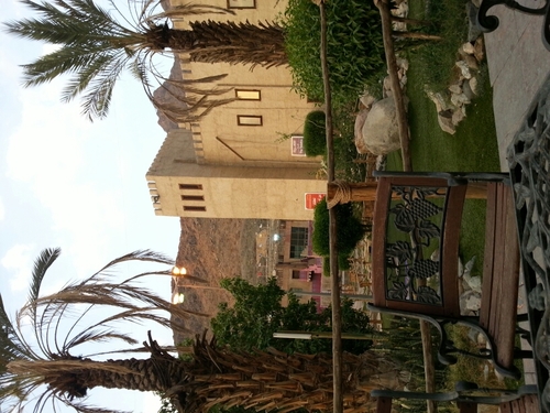 srefs4225's profile picture. 