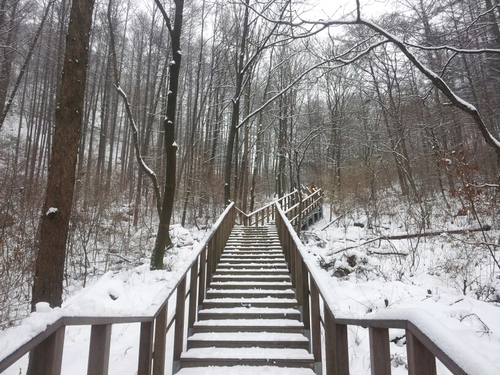 rennie1029's profile picture. 생각의 혁명이 필요한 1인