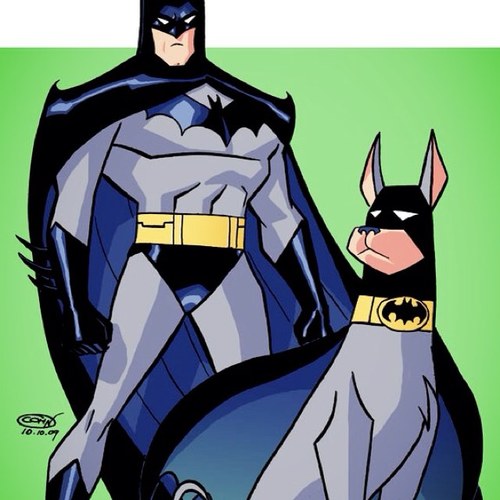 Batman's canine. #WarnerBrothers #DC #RP