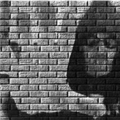 OCDb_music's profile picture. making music...