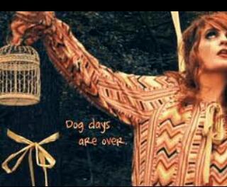 Ok Flows, our mission if you wish to accept it is to get together and recreate the video of Dog Days are Over! More details provided soon
