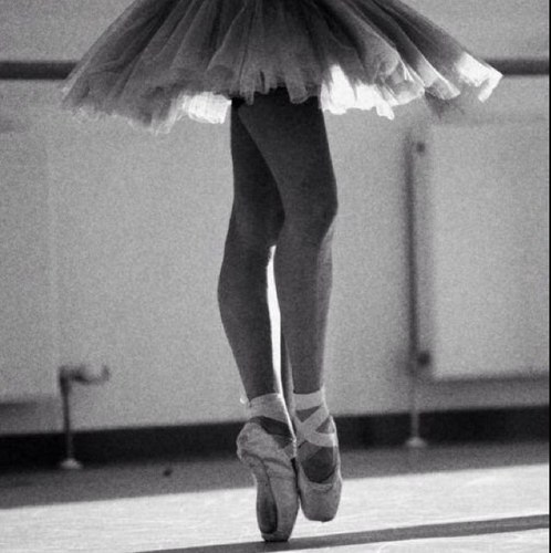 lifeas_dancers's profile picture. oh the life of a dancer... When in a dout, dance out ! Forget the risk, take the fall, if you want it... Its worth it all..