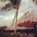 LEA MCCOY - @LEAMCCOY - Twitter