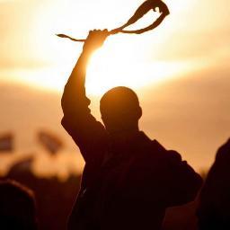 Scouting4Ever's profile picture. 