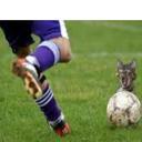 julio quevedo - @ijulioquevedoi - Twitter