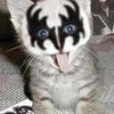 Ann Neal - @annibee63 - Twitter