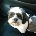 Janet Levesque - @janet_levesque - Twitter