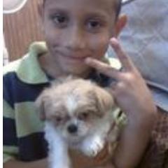 thebigboss400's profile picture. 