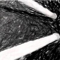Scott Thomas (@scott_thomas78) 's Twitter Profile