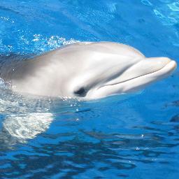 Tink2409's profile picture. 