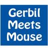 GerbMeetsMouse's profile picture. If you give your gerbils a dollhouse....  Visit our website for more info! https://t.co/DPiRJHBIwN .