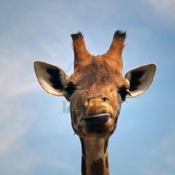 thatwhenyouknow's profile picture. Those moments in life when you just know.
#thatswhenyouknow