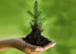 Passionate Environment Professional looking at Environment, Green Buildings, IFM etc..