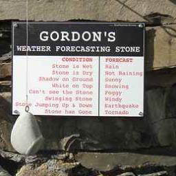 mm3xgp's profile picture. 