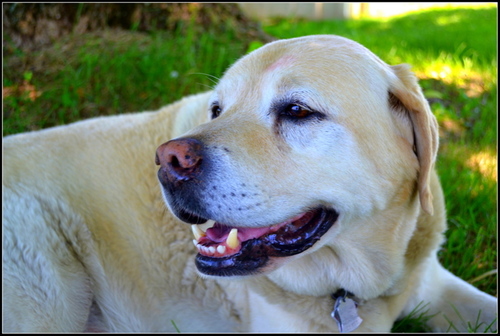 RoyPerry's profile picture. 