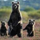 gabriel limon casco - @gabriellimoncas - Twitter