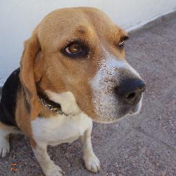 Médico Veterinario 🐾🐾🐾🐾❤❤❤