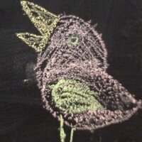 Fish Nip (@echocardioblog) 's Twitter Profile