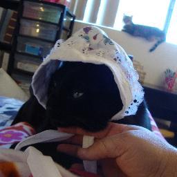 PrincessandaBee's profile picture. 