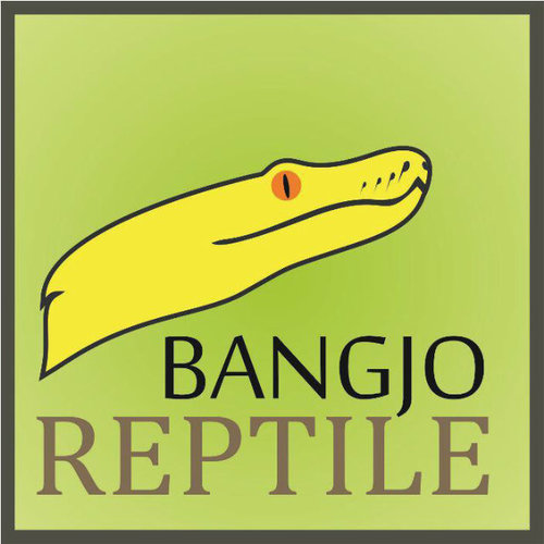 BangjoReptile's profile picture. Boa dan Retic