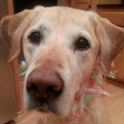 TaterzThompson's profile picture. Always posted up on Griffon Lane | Recovering from a torn ACL | Much love to my mains tho! | PC Alan Brityn and Bean |