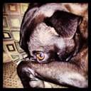 Beth Gerber Miller - @BethLcci - Twitter