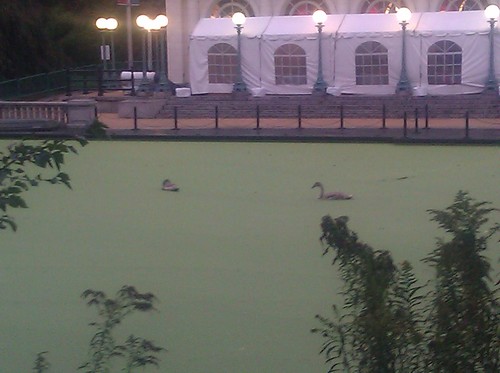 LaDyVeigh's profile picture. Inspiring Mathematics!