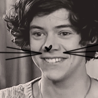 I'm not really a kitty cat. But I can dream can't I? {Single|Semi-Literate}