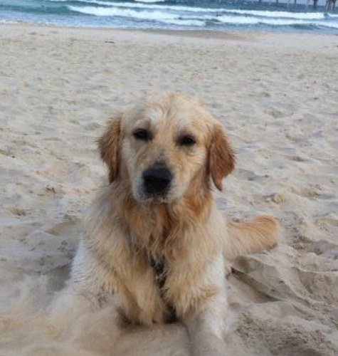 pat_083's profile picture. 