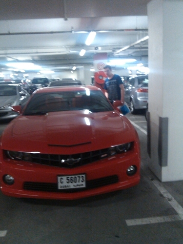 matthew_mccoll's profile picture. 