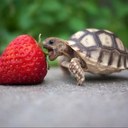 debbie dobbins - @debbied40 - Twitter