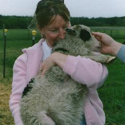 I am a sheep and wool loving fiber enthusiast who is also a politics junkie and an animal welfare supporter.