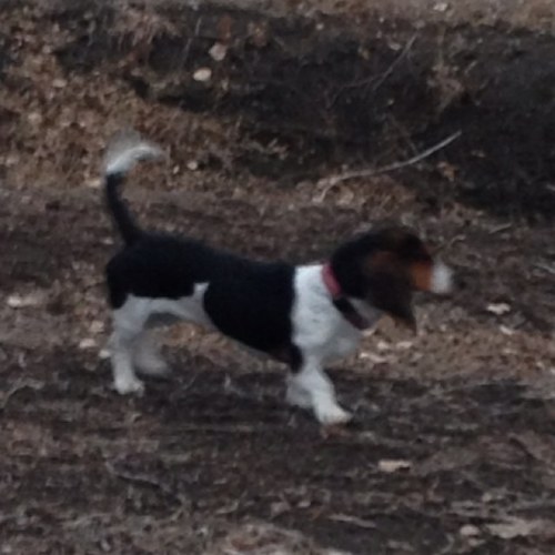 cfellows73's profile picture. 