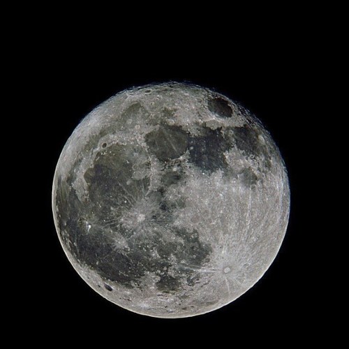 Johnnyboy22336's profile picture. 