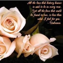 New And Nice Poetry Group

Follow @POeTrY_COrNOr

03475241596