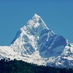 Pokhara (@pokhara) Twitter profile photo Pokhara (@pokhara) Twitter profile photo