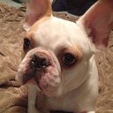 Brad Barr - @brad_barr - Twitter