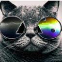 11번째 냥이 (@11catgirl) Twitter