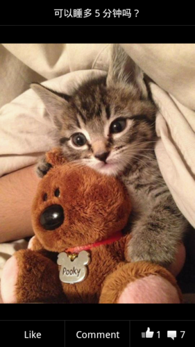 shangyeek's profile picture. 