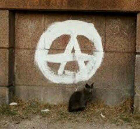 ProjectQuinn_'s profile picture. Project Quinn is designed to take tangible steps to alleviate the suffering of all beings; animate and inanimate.