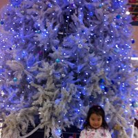 NakajiBs (@nakajibs) Twitter profile photo